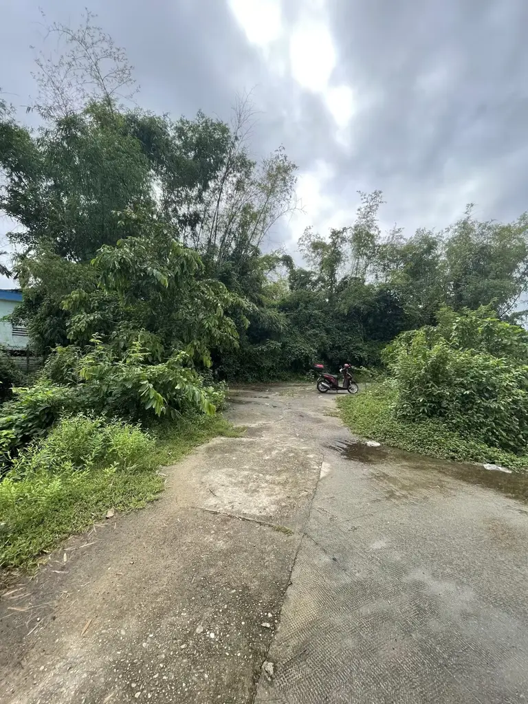 Bán nhà Thôn Hà Tây 1, Quảng Nam (khu khác) – 115 m², 4,8 tầng, 1,2 tỷ – ảnh 5