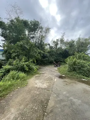Bán nhà Thôn Hà Tây 1, Quảng Nam (khu khác) – 115 m², 4,8 tầng, 1,2 tỷ – ảnh 5