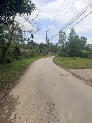 Bán đất mặt tiền Hòa Ninh, Hòa Vang – 37.700 m², 27 tỷ – ảnh 3