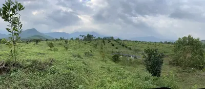 Bán đất mặt tiền Hòa Ninh, Hòa Vang – 37.700 m², 27 tỷ – ảnh 11