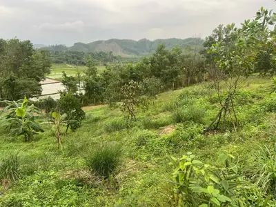 Bán đất mặt tiền Hòa Ninh, Hòa Vang – 37.700 m², 27 tỷ – ảnh 12