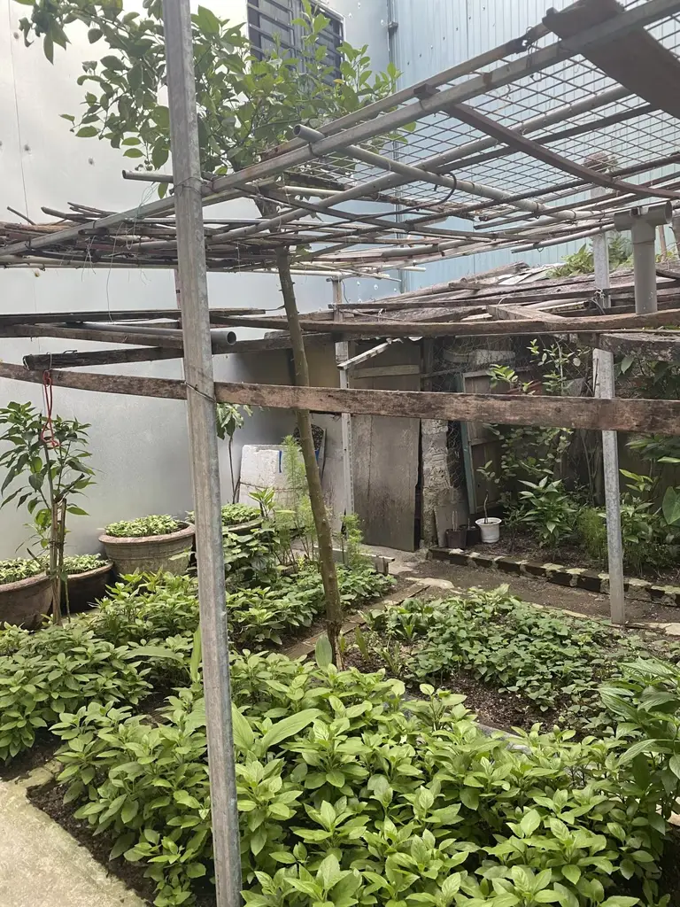 Bán nhà Trường Chinh, Cẩm Lệ – 124 m², 2 tầng, 5,25 tỷ – ảnh 3