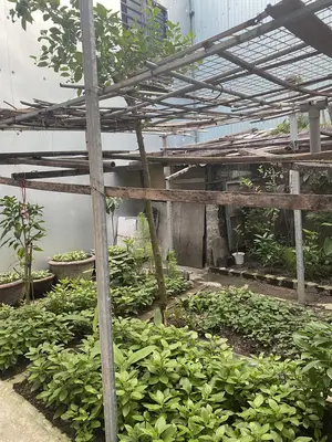 Bán nhà Trường Chinh, Cẩm Lệ – 124 m², 2 tầng, 5,25 tỷ – ảnh 3