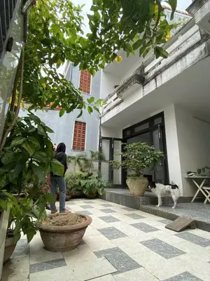 Bán nhà Đường 18/8, Hội An – 373 m², 2 tầng, 32 tỷ – ảnh 9