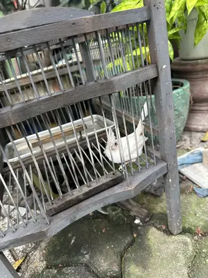Bán nhà cấp 4 Phan Bôi, Sơn Trà – 221 m², 12,5 tỷ – ảnh 8