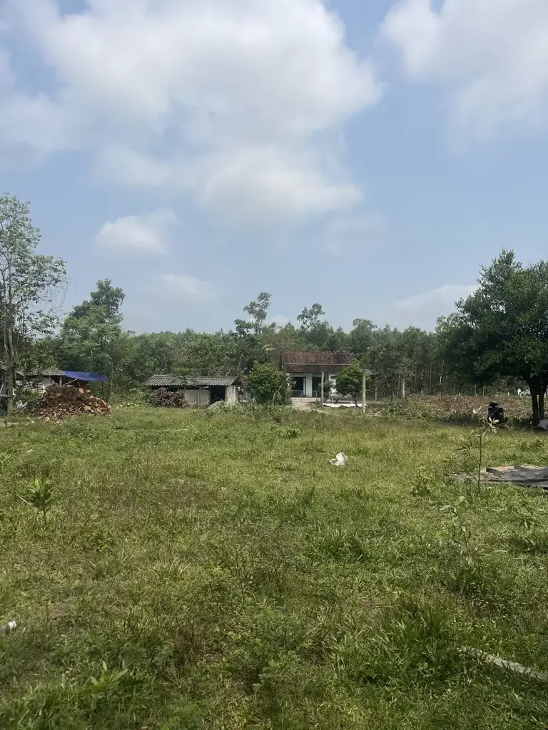 Bán đất Thôn 5 Xã Hòa Khương, Hòa Vang – 126 m², 1,2 tỷ – ảnh 4