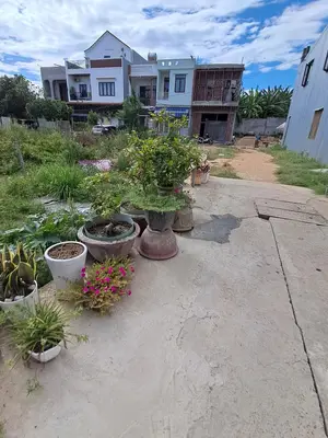 Bán đất Trần Đình Nam, Thanh Khê – 81 m², 2,85 tỷ