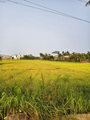 Bán đất Duy Thành, Hội An – 246 m², 1,05 tỷ