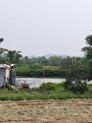 Bán đất Duy Thành, Hội An – 246 m², 1,05 tỷ – ảnh 4