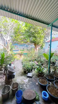 Bán nhà mặt tiền Nguyễn Tất Thành, Hội An – 1.600 m², 2 tầng, 33 tỷ – ảnh 7