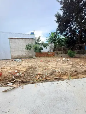 Bán đất Trường Chinh, Cẩm Lệ – 103 m², 2,85 tỷ – ảnh 6