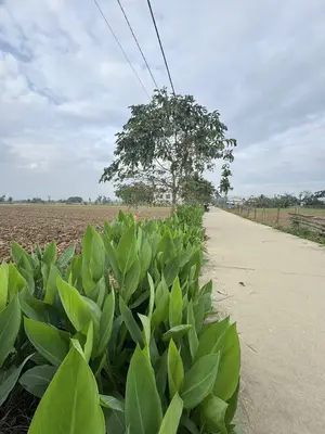 Bán đất Điện Tiến, Quảng Nam (khu khác) – 922 m², 1,85 tỷ