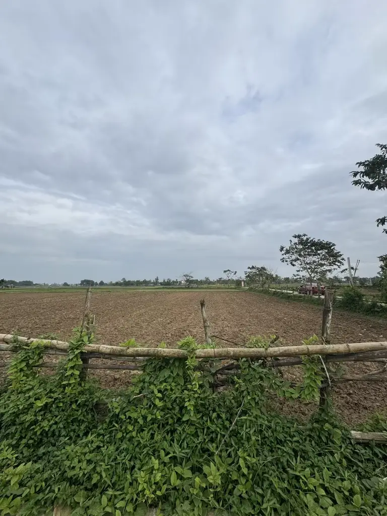 Bán đất Điện Tiến, Quảng Nam (khu khác) – 922 m², 1,85 tỷ – ảnh 4