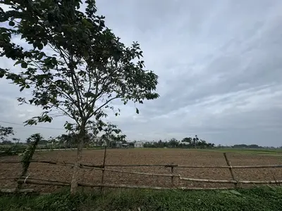 Bán đất Điện Tiến, Quảng Nam (khu khác) – 922 m², 1,85 tỷ – ảnh 9