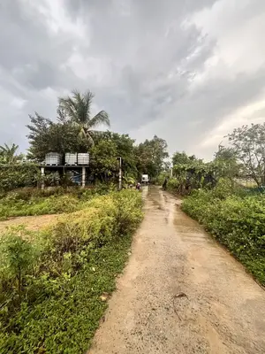 Bán đất Hòa Phong, Hòa Vang – 510 m², 650 triệu – ảnh 4