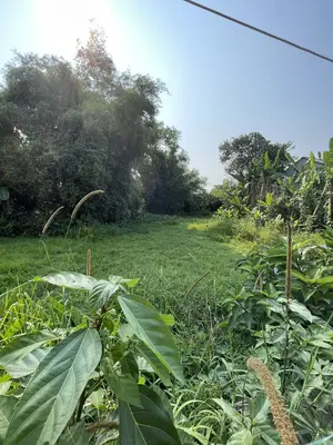 Bán đất Thôn Hòa An, Điện Hồng, Điện Bàn, Quảng Nam (khu khác) – 165 m², 750 triệu