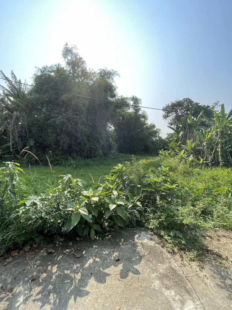 Bán đất Thôn Hòa An, Điện Hồng, Điện Bàn, Quảng Nam (khu khác) – 165 m², 750 triệu – ảnh 2