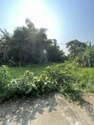 Bán đất Thôn Hòa An, Điện Hồng, Điện Bàn, Quảng Nam (khu khác) – 165 m², 750 triệu – ảnh 2