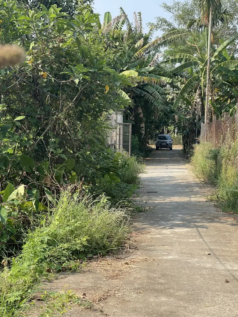 Bán đất Thôn Hòa An, Điện Hồng, Điện Bàn, Quảng Nam (khu khác) – 165 m², 750 triệu – ảnh 4