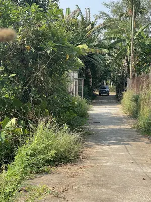 Bán đất Thôn Hòa An, Điện Hồng, Điện Bàn, Quảng Nam (khu khác) – 165 m², 750 triệu – ảnh 4