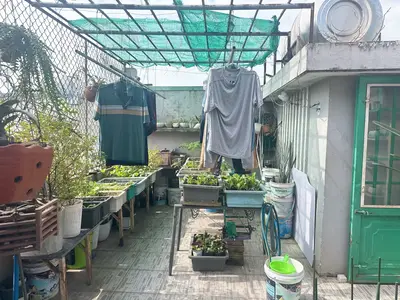 Bán nhà mặt tiền Huỳnh mẫn Đạt, Hải Châu – 98 m², 3 tầng, 13,3 tỷ – ảnh 4