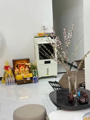 Bán nhà Trường Chinh, Cẩm Lệ – 100 m², 2 tầng, 2,85 tỷ