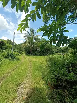 Bán nhà cấp 4 mặt tiền Hòa Phú, Hòa Vang – 58.000 m², 80 tỷ – ảnh 8
