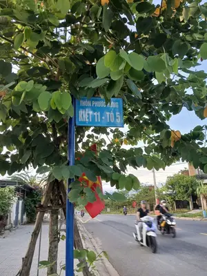 Bán đất Hòa Nhơn, Hòa Vang – 120 m², 1,55 tỷ – ảnh 2