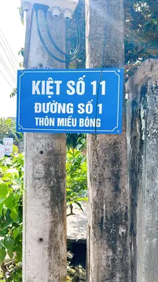 Bán đất Miếu Bông, Cẩm Lệ – 150 m², 1,67 tỷ – ảnh 1