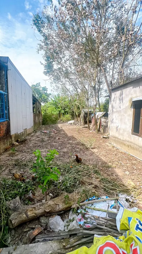 Bán đất Miếu Bông, Cẩm Lệ – 150 m², 1,67 tỷ – ảnh 2