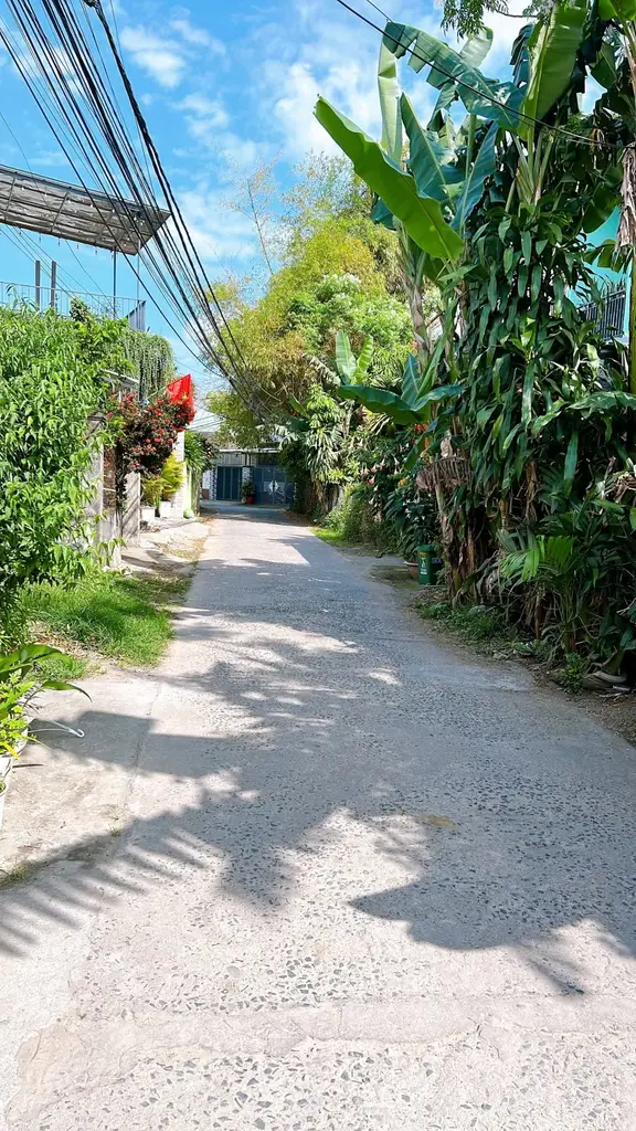Bán đất Miếu Bông, Cẩm Lệ – 150 m², 1,67 tỷ – ảnh 4