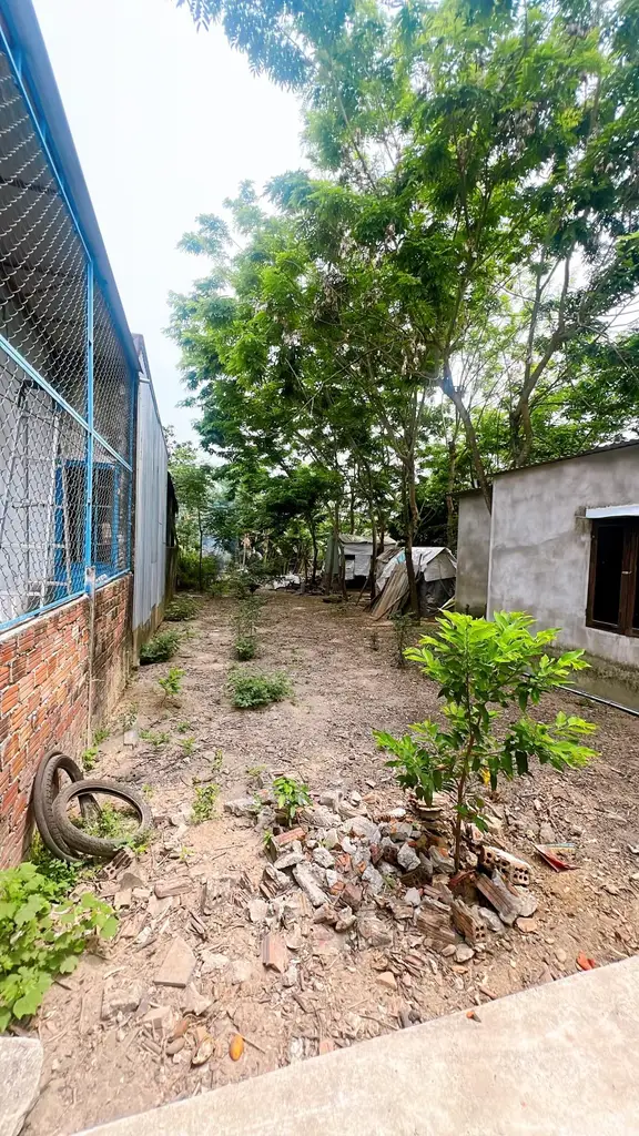 Bán đất Miếu Bông, Cẩm Lệ – 150 m², 1,67 tỷ – ảnh 5