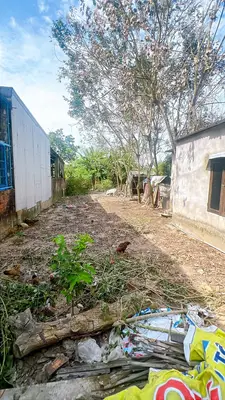Bán đất Miếu Bông, Cẩm Lệ – 150 m², 1,67 tỷ – ảnh 6