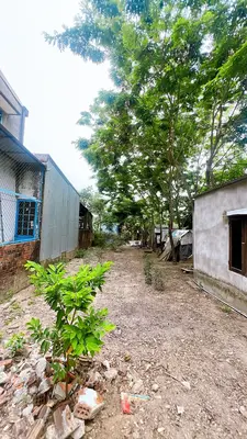 Bán đất Miếu Bông, Cẩm Lệ – 150 m², 1,67 tỷ – ảnh 7