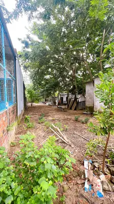 Bán đất Miếu Bông, Cẩm Lệ – 150 m², 1,67 tỷ – ảnh 8