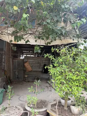 Bán đất Âu Cơ, Liên Chiểu – 100 m², 2,75 tỷ – ảnh 2