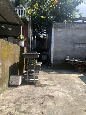 Bán nhà cấp 4 Kiệt Gò Dư, Liên Chiểu – 180,5 m², 5,55 tỷ