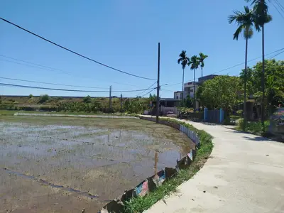 Bán nhà Tiến 256,5, Hòa Vang – 256 m², 1 tầng, 2,5 tỷ – ảnh 2