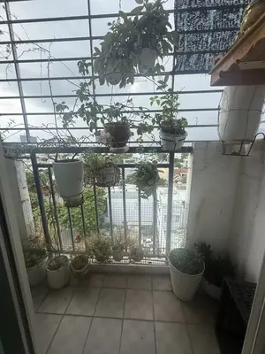 Bán nhà Chung cư Nest home Chu Huy Mân 9, Sơn Trà – 54 m², 7 tầng, 2,75 tỷ – ảnh 3