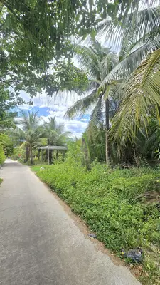 Bán đất Kiệt Trần Nhân Tông, Cẩm Thanh, Hội An – 190 m², 6,3 tỷ