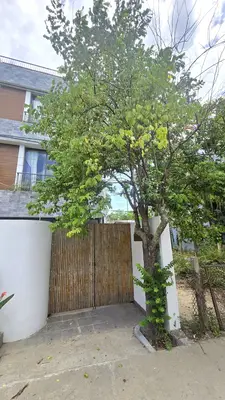 Bán đất Kiệt Trần Nhân Tông, Cẩm Thanh, Hội An – 190 m², 6,3 tỷ – ảnh 2