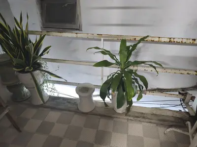 Bán nhà Kiệt Đống Đa, Hải Châu – 26 m², 2 tầng, 2,1 tỷ – ảnh 10