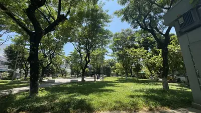 Bán nhà mặt tiền Nguyễn Tư Giản, Ngũ Hành Sơn – 180 m², 2 tầng, 37,5 tỷ – ảnh 3