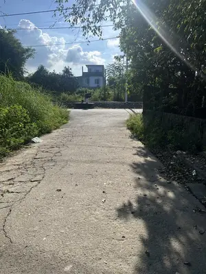 Bán đất Hòa Châu, Cẩm Lệ – 200 m², 1,4 tỷ – ảnh 4