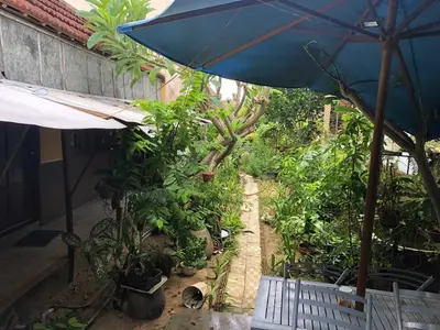 Bán nhà cấp 4 Đường 28 Tháng Ba, Hội An – 400 m², 15 tỷ – ảnh 3
