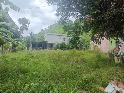 Bán nhà cấp 4 Thôn Nam Yên Xã Hòa Bắc, Hòa Vang – 1.541,4 m², 7,3 tỷ