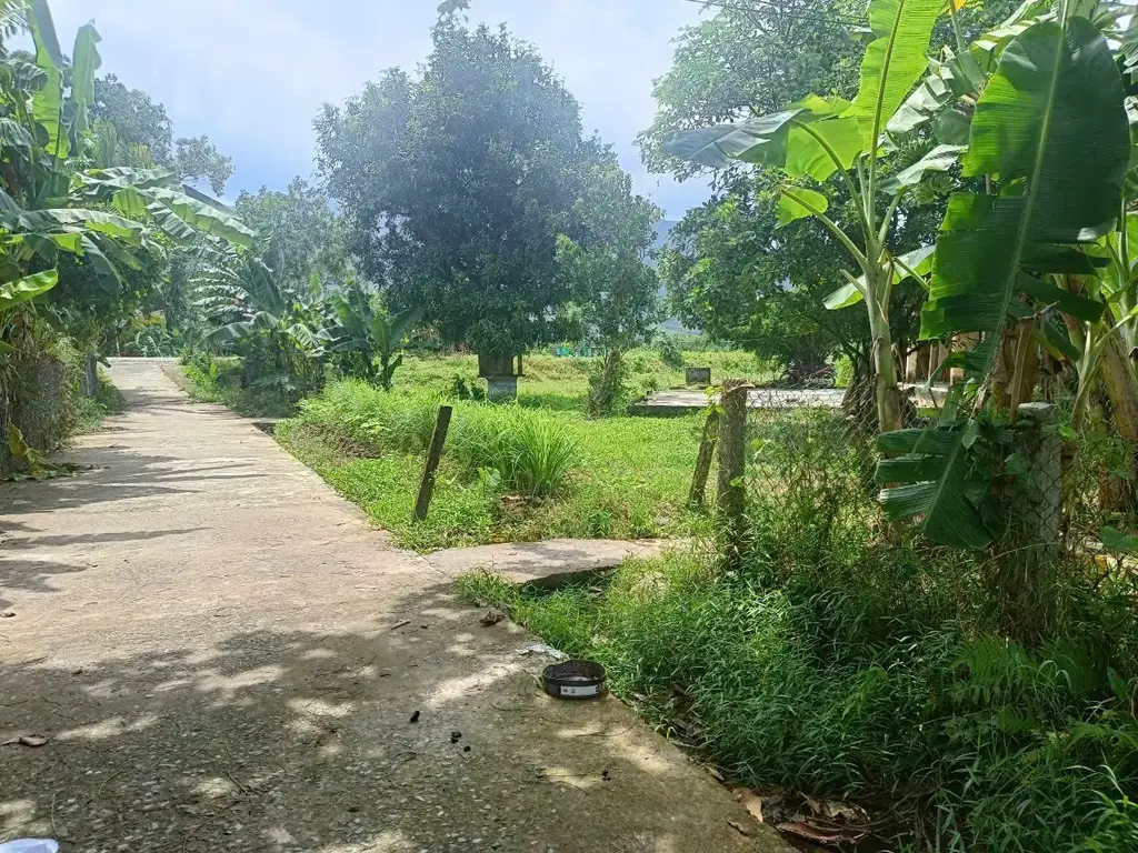 Bán nhà cấp 4 Thôn Nam Yên Xã Hòa Bắc, Hòa Vang – 1.541,4 m², 7,3 tỷ – ảnh 2
