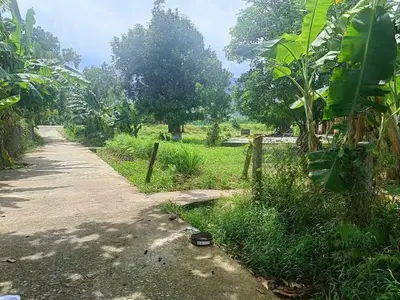 Bán nhà cấp 4 Thôn Nam Yên Xã Hòa Bắc, Hòa Vang – 1.541,4 m², 7,3 tỷ – ảnh 2