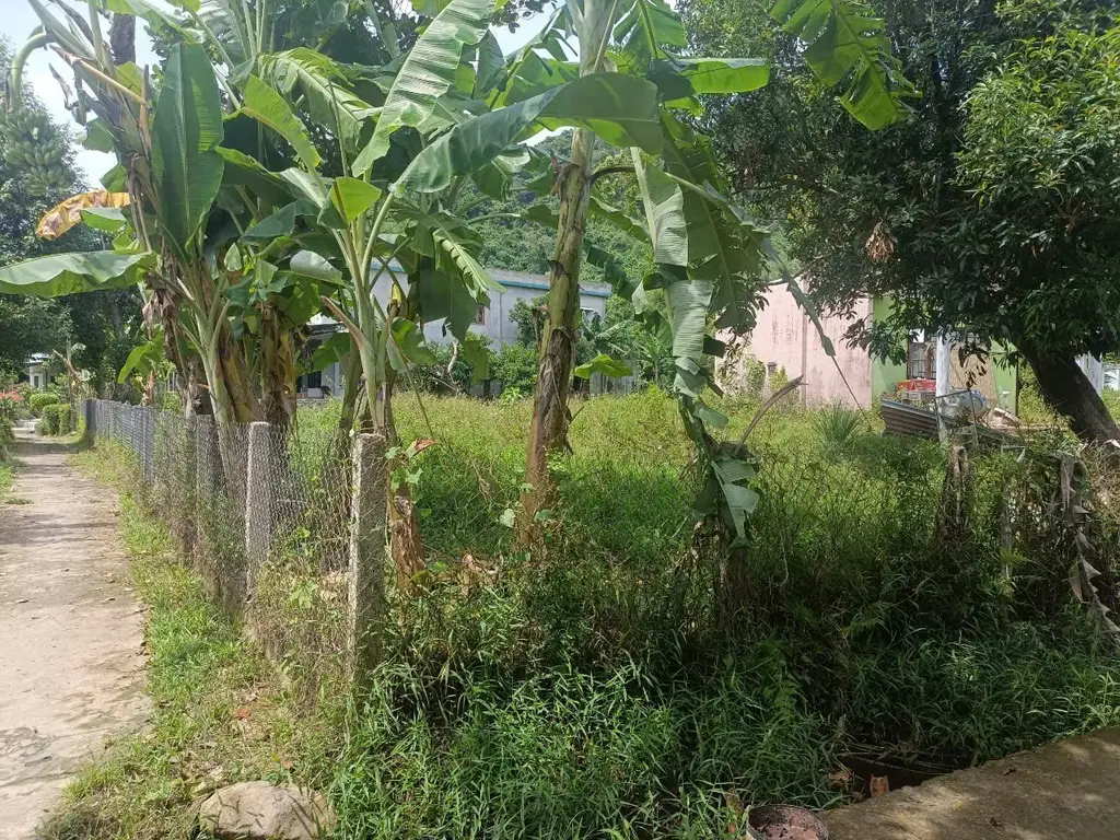 Bán nhà cấp 4 Thôn Nam Yên Xã Hòa Bắc, Hòa Vang – 1.541,4 m², 7,3 tỷ – ảnh 3