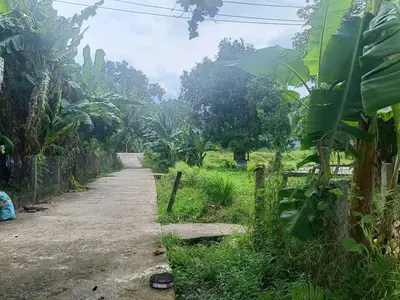 Bán nhà cấp 4 Thôn Nam Yên Xã Hòa Bắc, Hòa Vang – 1.541,4 m², 7,3 tỷ – ảnh 4